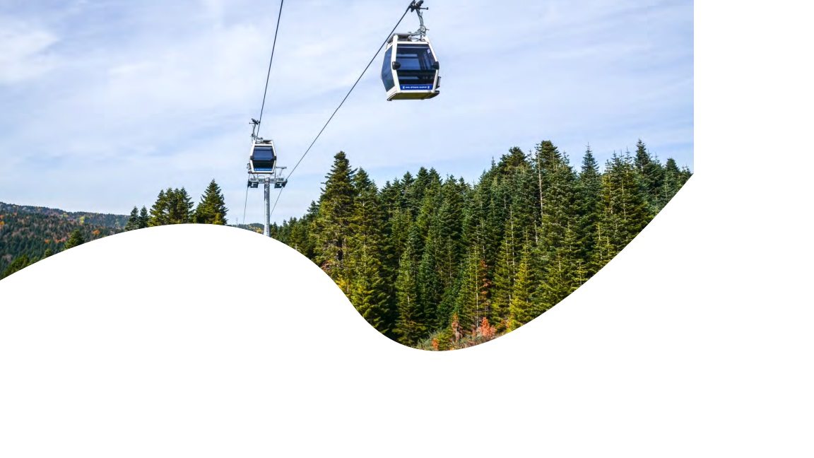 Regency World Hotel Istanbul/ Holiday Inn Bursa  City Centre